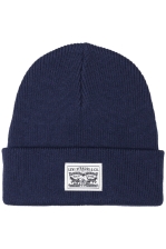 Backpatch Beanie