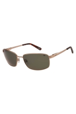 Caterpillar Sunglasses