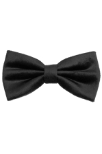 Joao | Velvet Bowtie