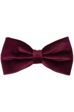 Joao | Velvet Bowtie