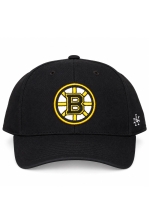 Boston Bruins Arena