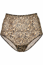 Mesh Highwaist Briefs