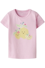 NBFFITRUZ SS TOP BOX