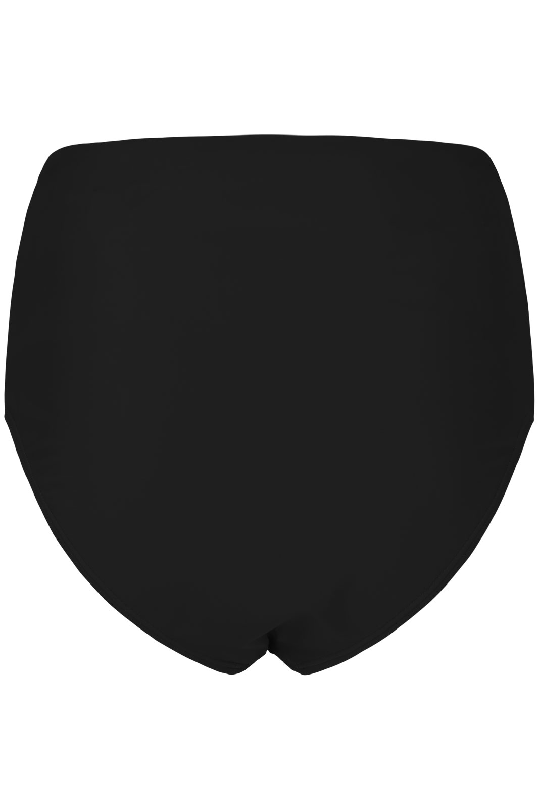 Janie W High Waist Bikini Pant