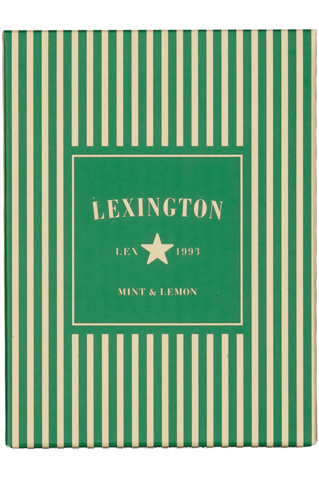 Scented Candle Mint & Lemon