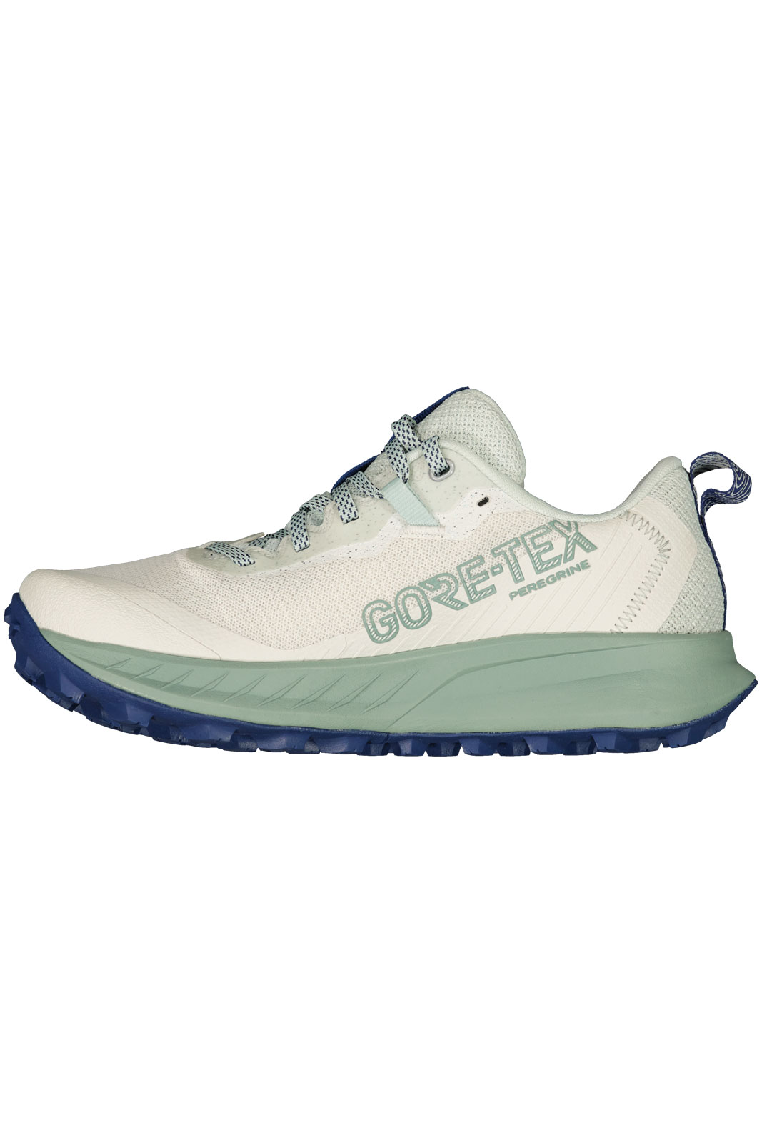 Peregrine 15 Gtx Women