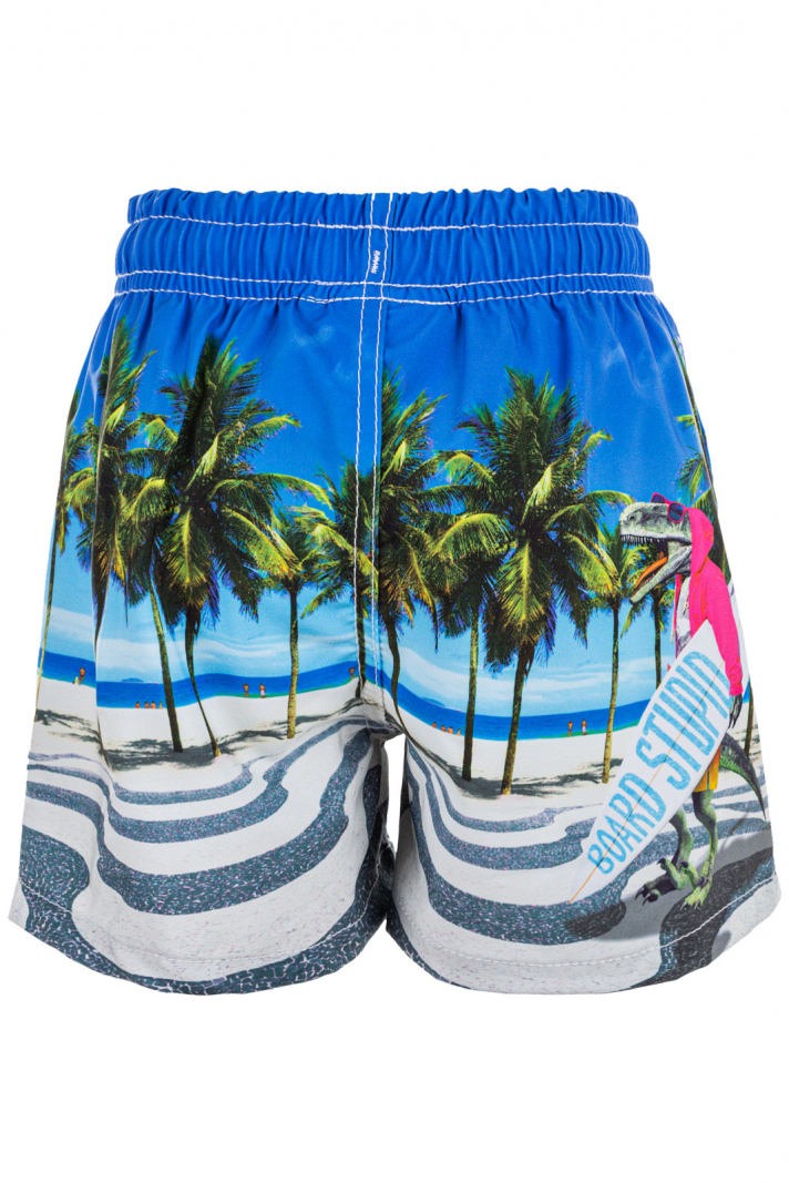 Dino Boardshorts