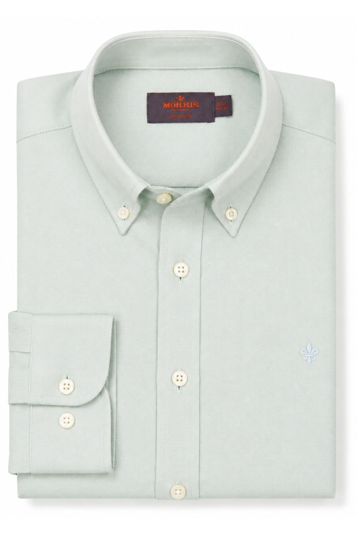 Pinpoint Oxford Shirt - Slim Fit