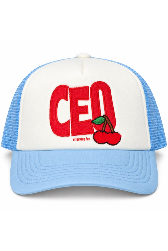 Ceo Of Fun