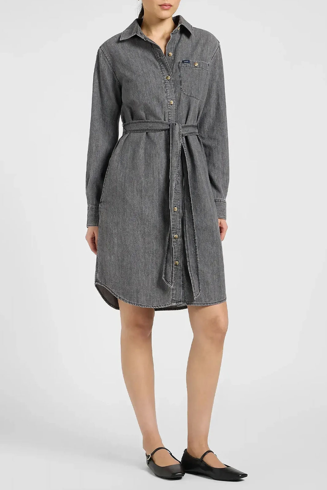 All Purpose Shirt Dress