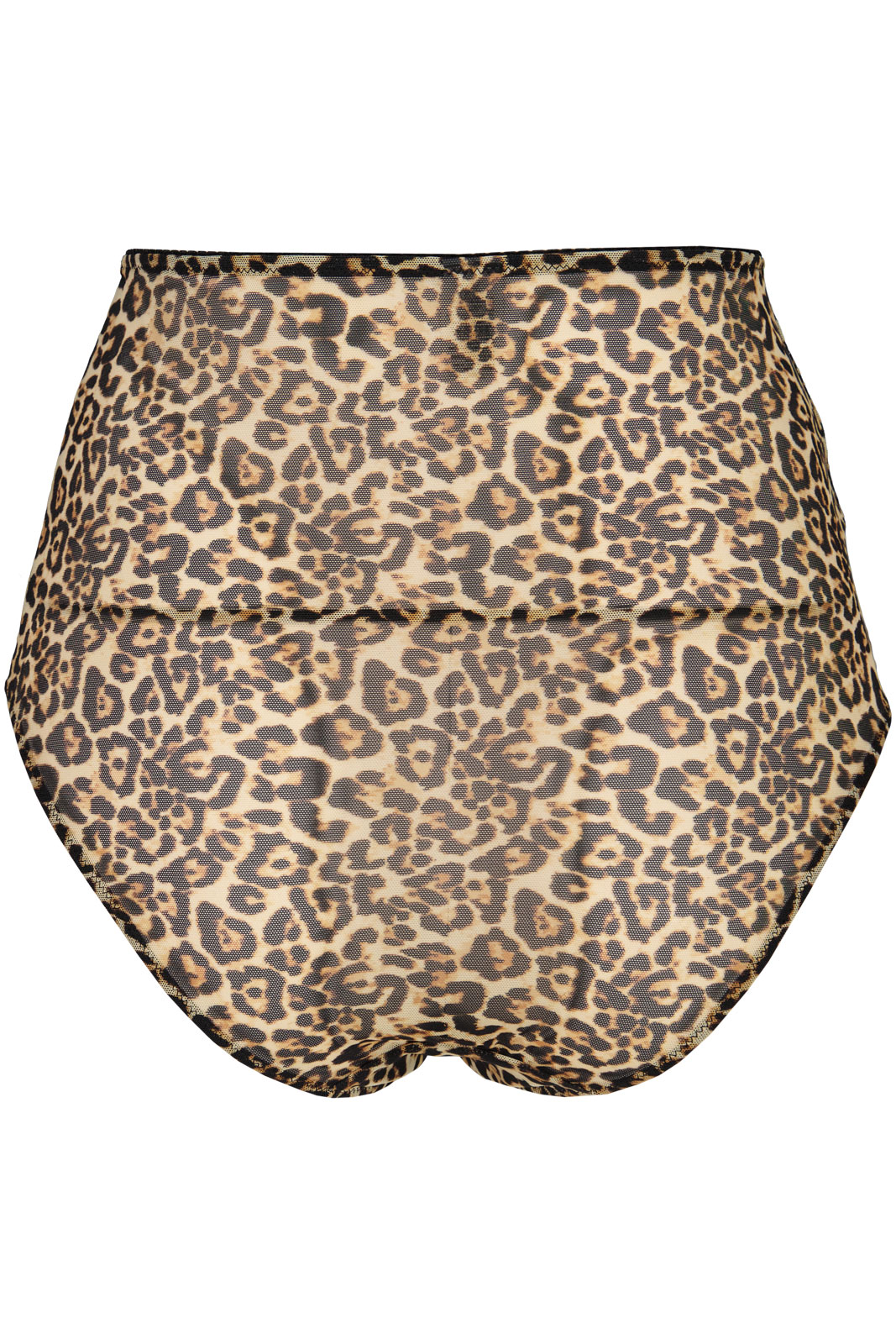 Mesh Highwaist Briefs