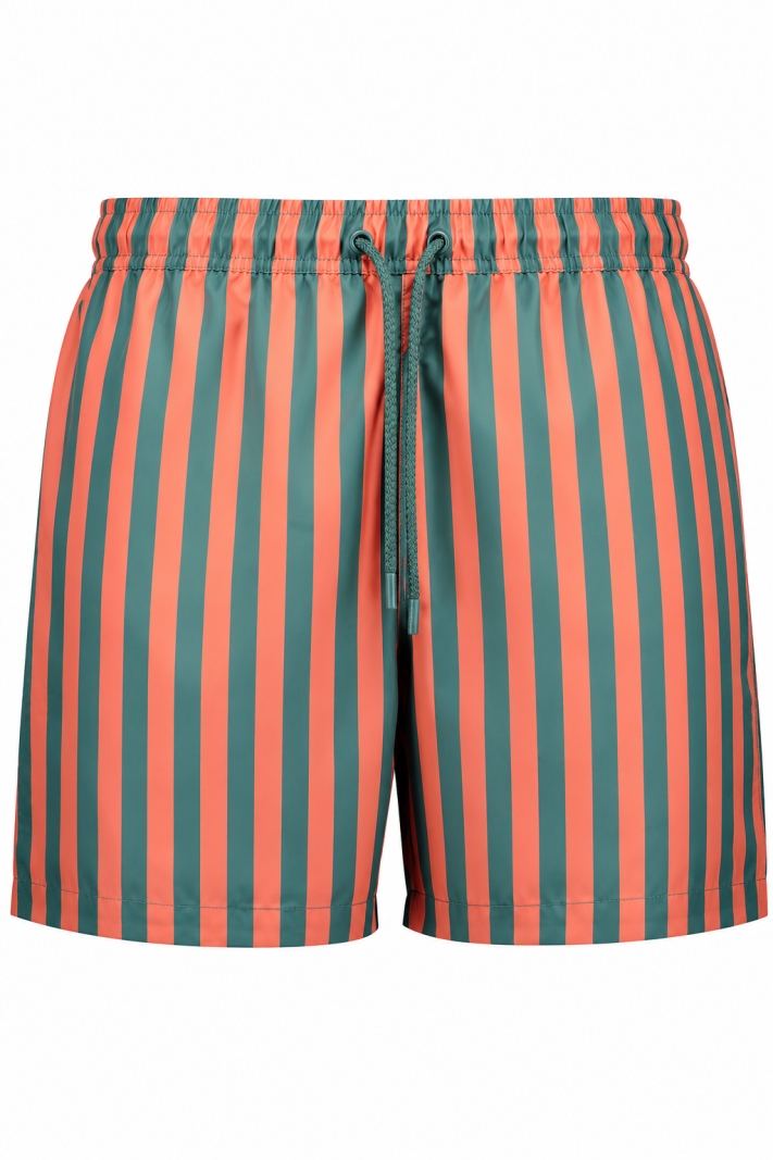 Borg Print Swim Shorts